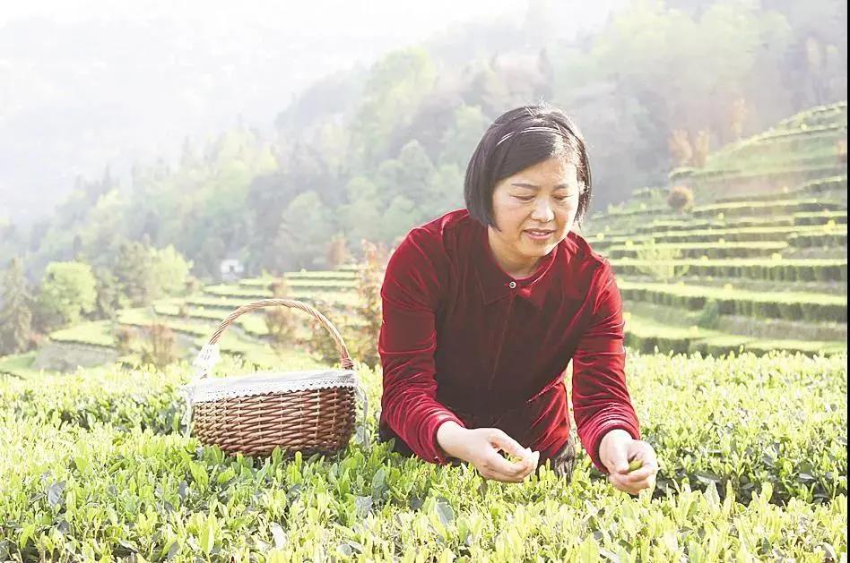 1606793739215.jpg 5.jpg