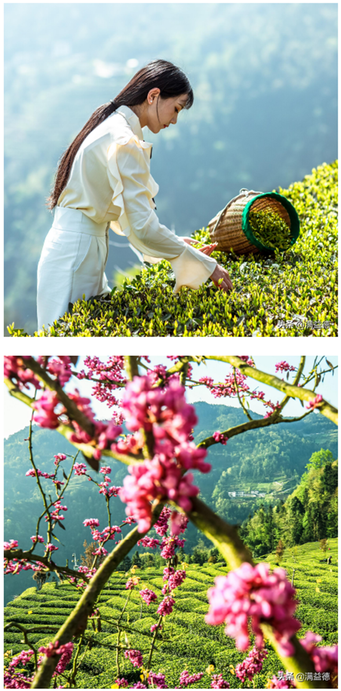 1619057021482.png 1).png