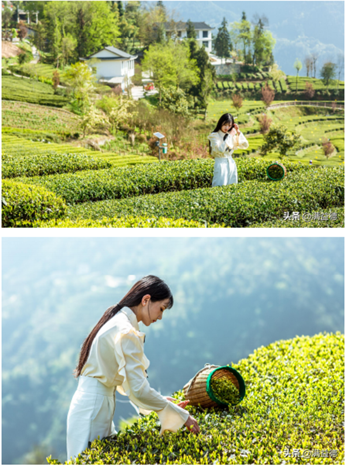 1619057719591.png 1).png