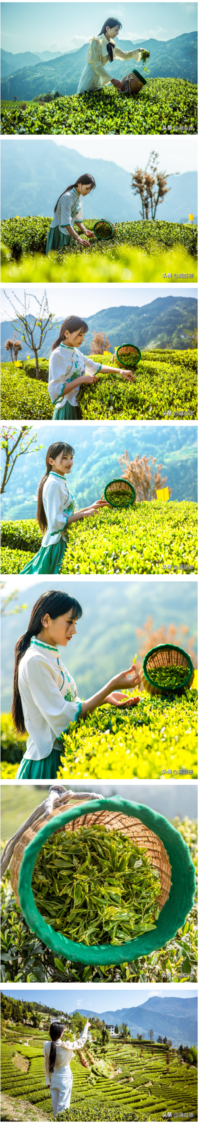 1619057793526.png 1).png