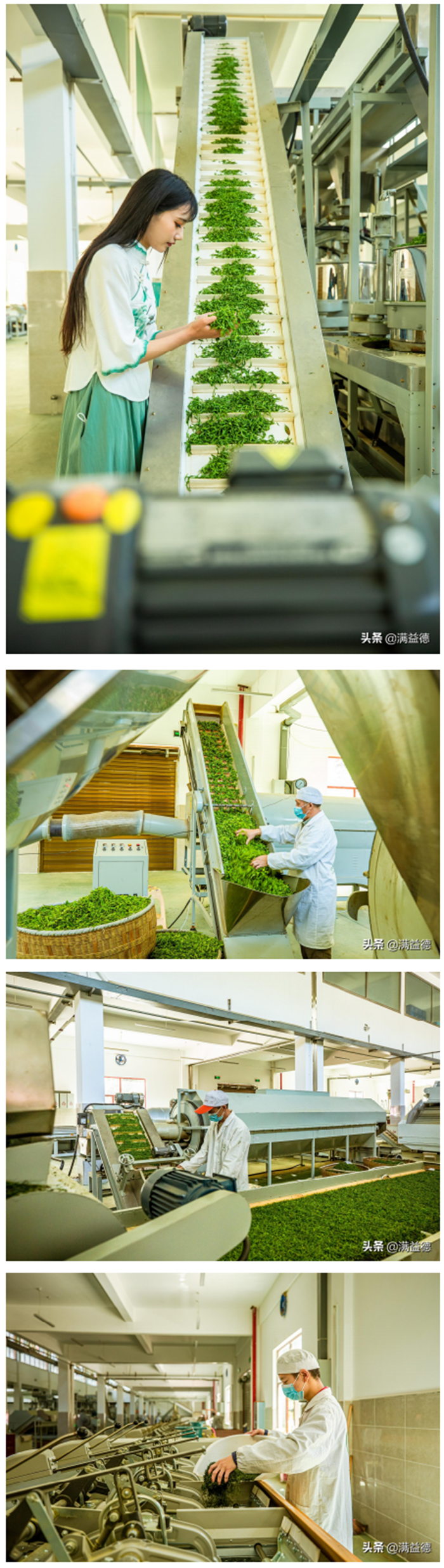 1619057867729.png 1).png