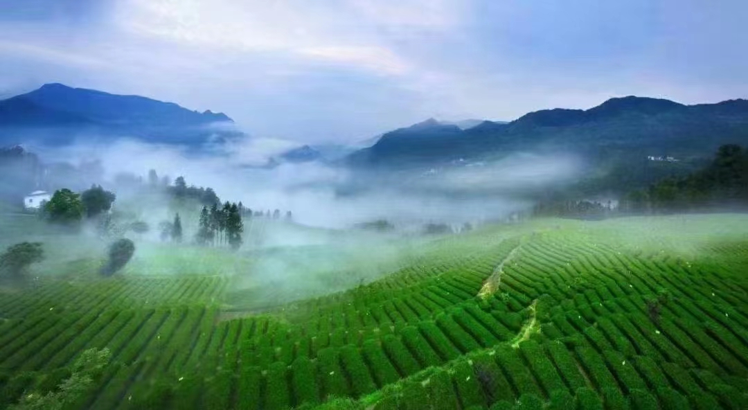 1725417320198.png 1725417320198.png